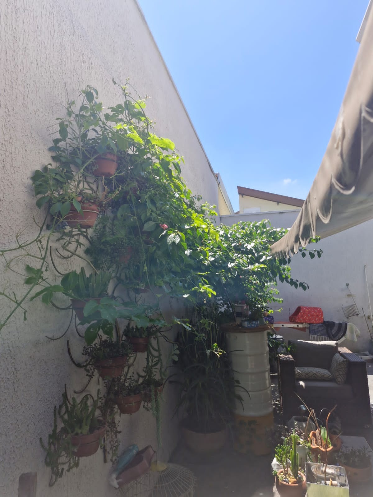 Casa, 4 quartos, 330 m² - Foto 6
