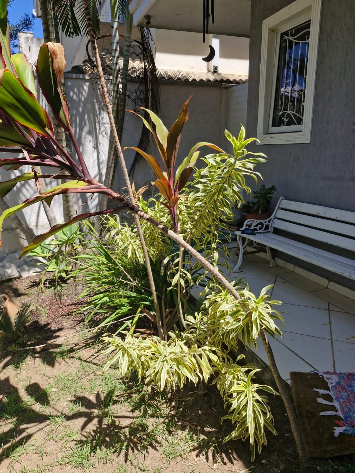 Casa, 4 quartos, 330 m² - Foto 11
