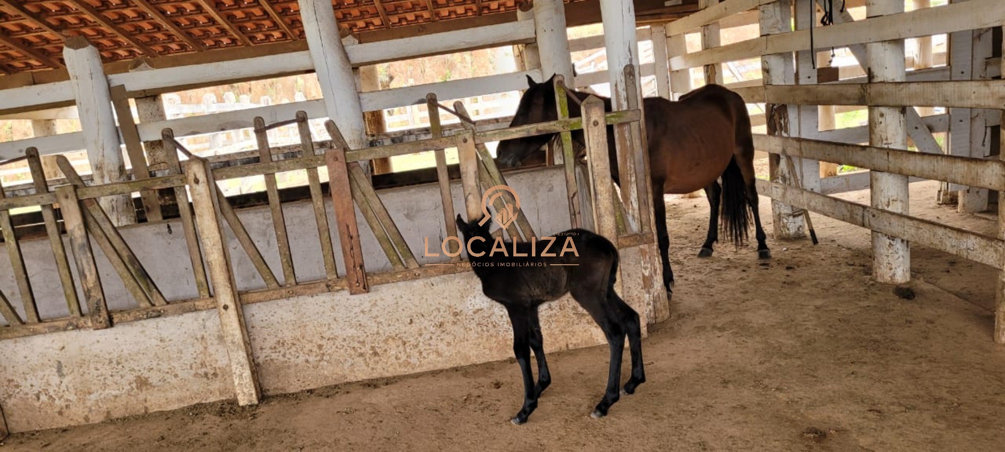 Chácara, 3 quartos - Foto 42