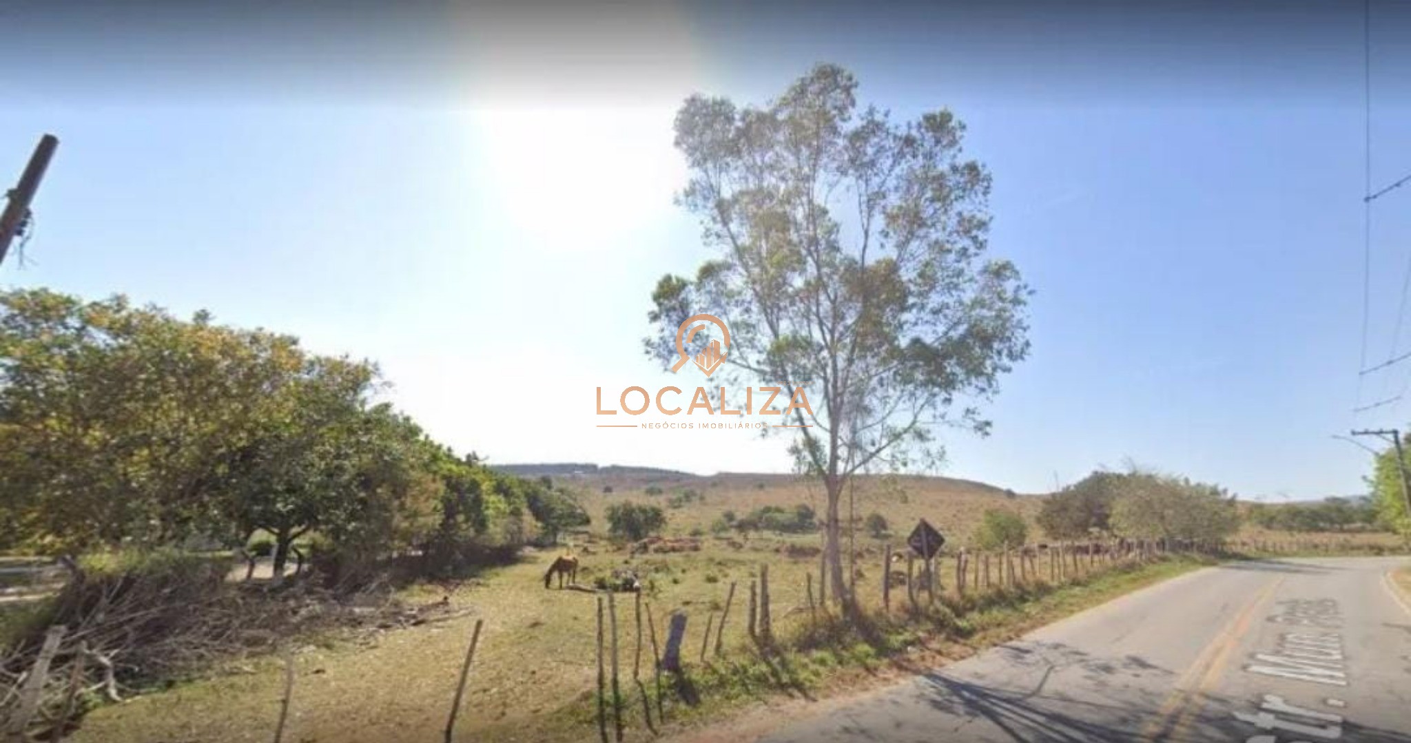Terreno, 43 hectares - Foto 6