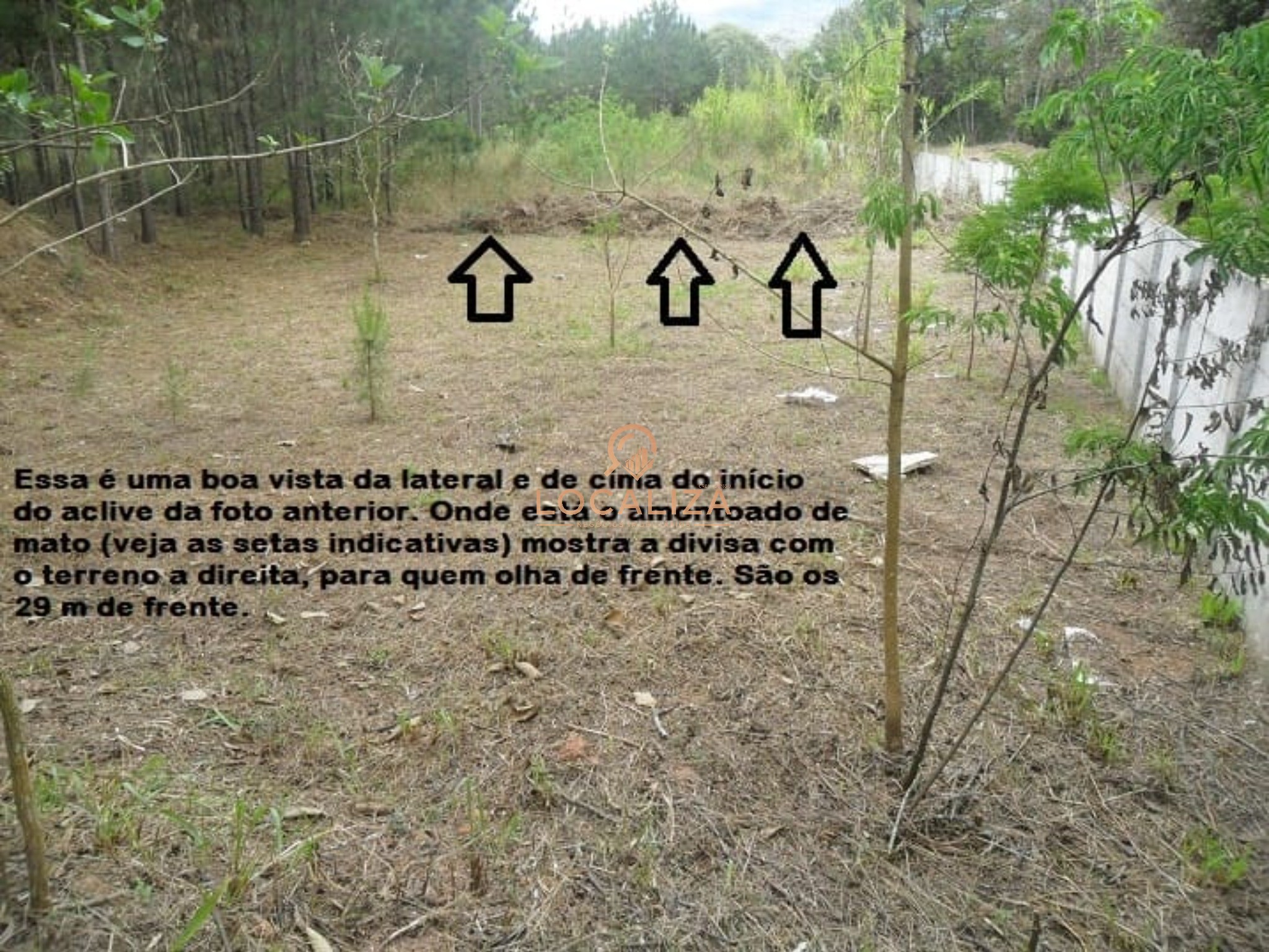Terreno, 1515 m² - Foto 7