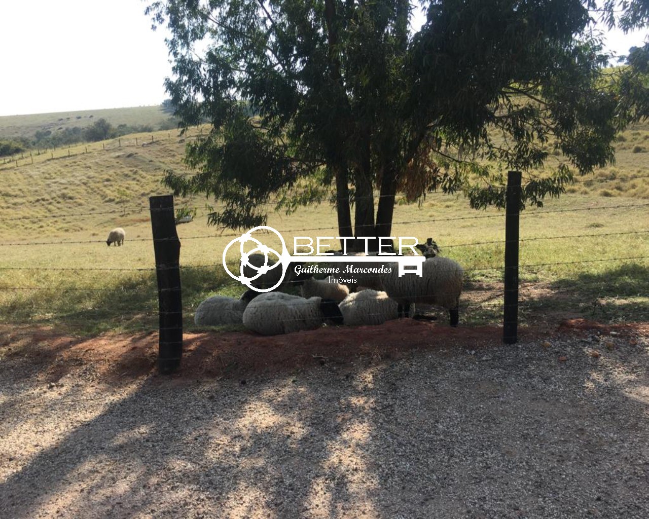 Fazenda, 4 quartos - Foto 14