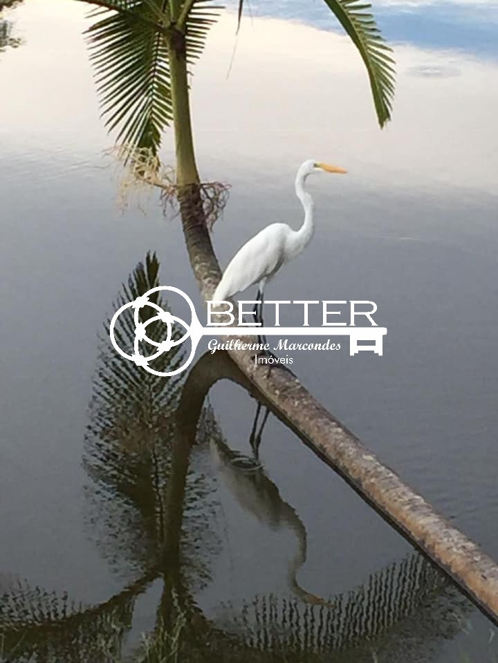 Terreno, 3018 m² - Foto 8