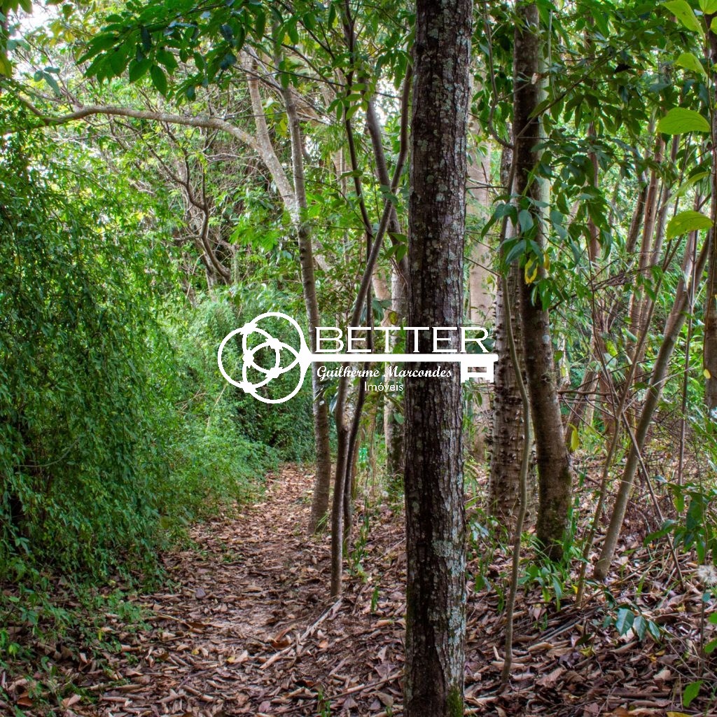 Terreno, 3018 m² - Foto 27