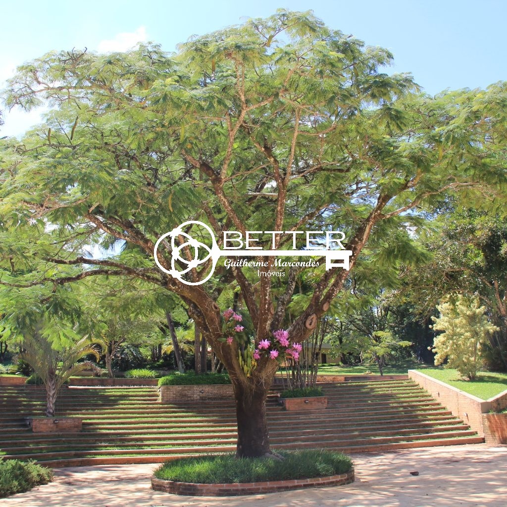 Terreno, 3018 m² - Foto 5