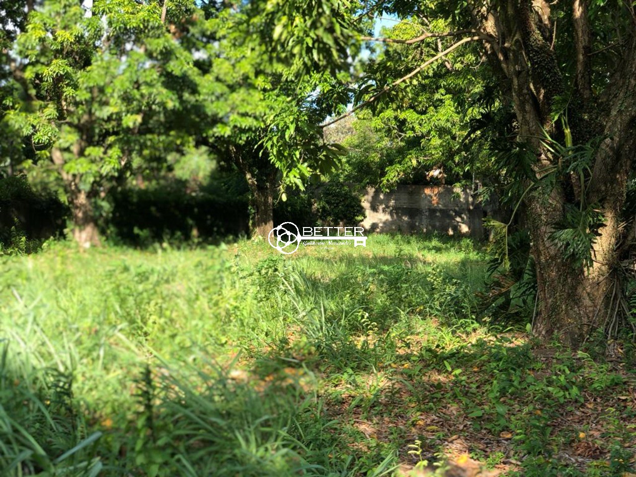 Terreno, 1450 m² - Foto 4