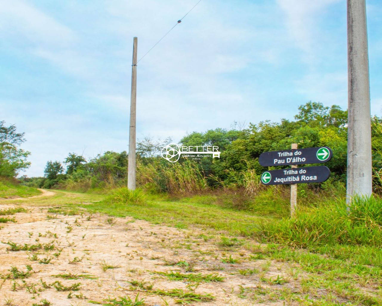 Casa, 6 quartos - Foto 19