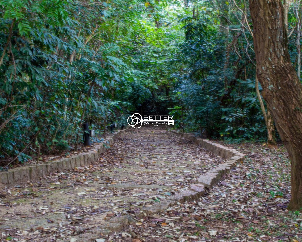 Casa, 6 quartos - Foto 18