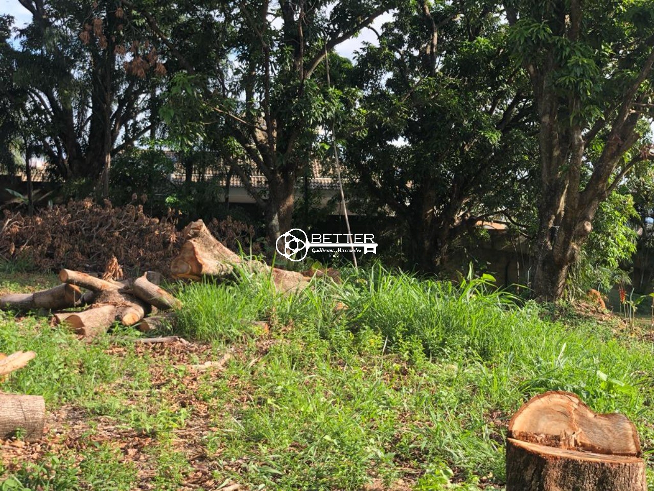 Terreno, 1450 m² - Foto 3