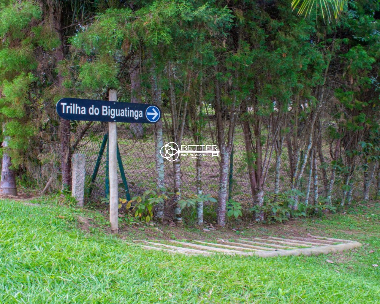 Casa, 6 quartos - Foto 15