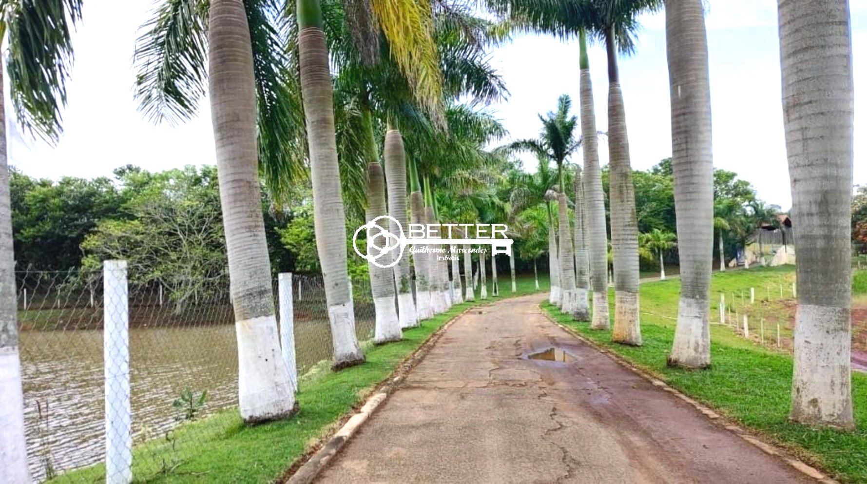 Fazenda, 1 quarto - Foto 4