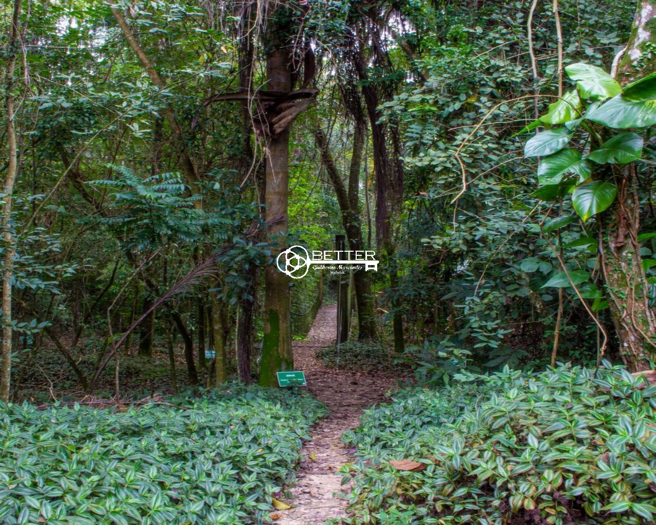 Casa, 6 quartos - Foto 16