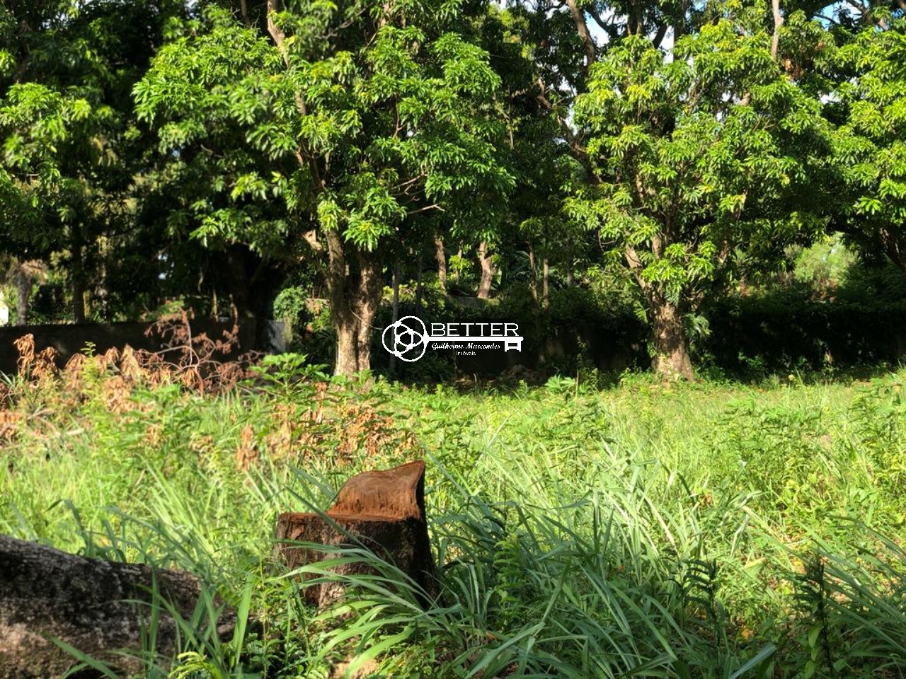 Terreno, 1450 m² - Foto 5