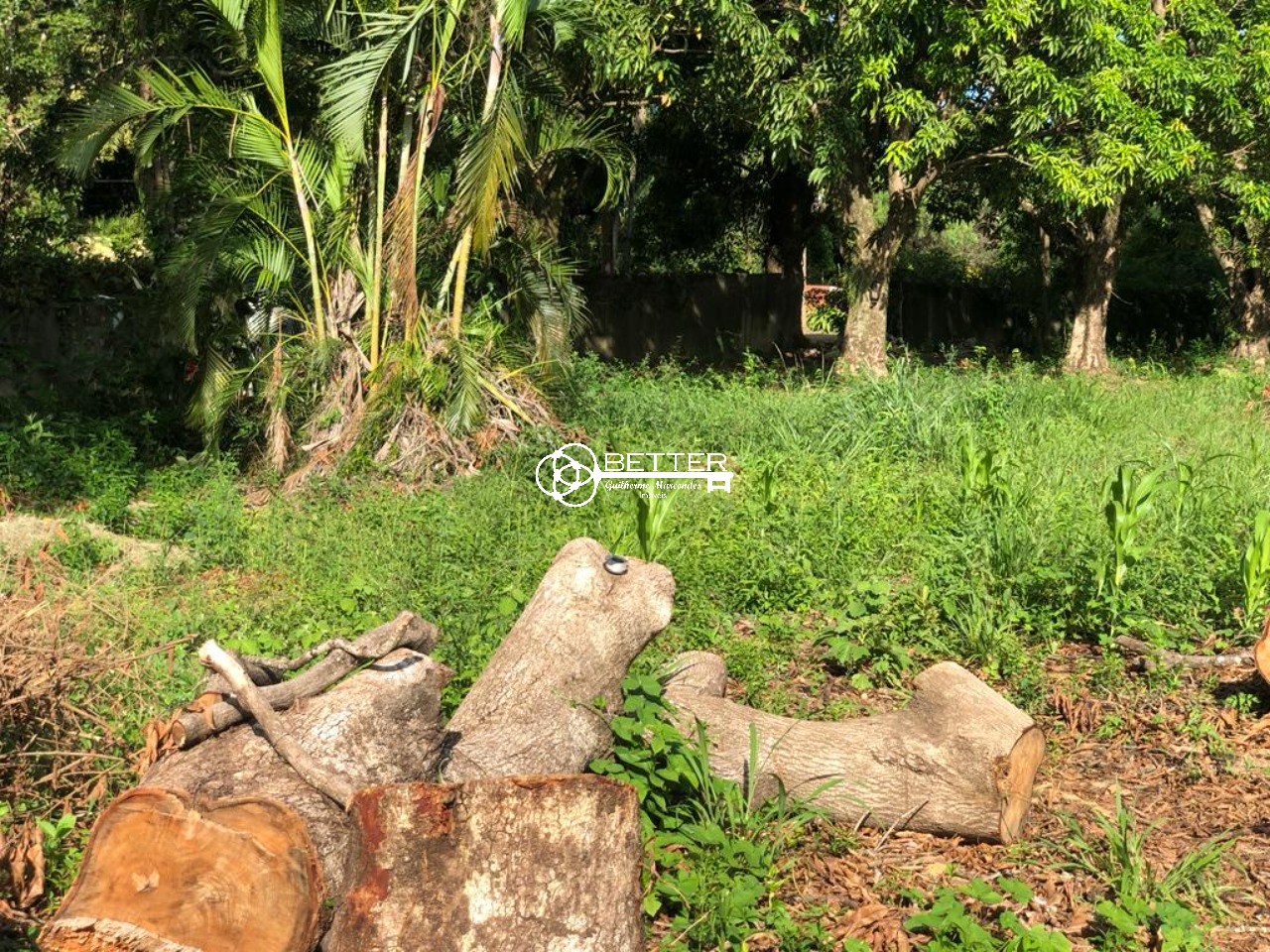 Terreno, 1650 m² - Foto 5