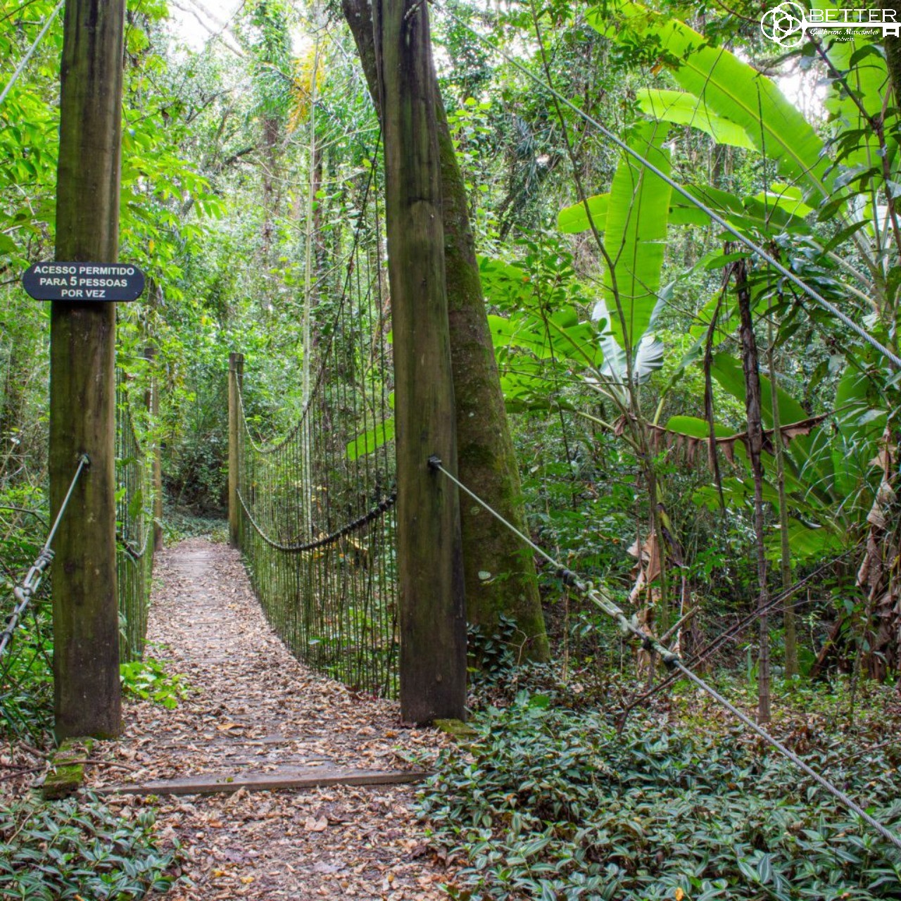 Terreno, 3080 m² - Foto 35