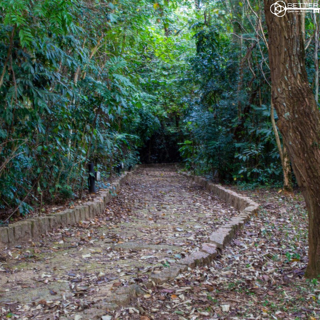 Terreno, 3080 m² - Foto 36