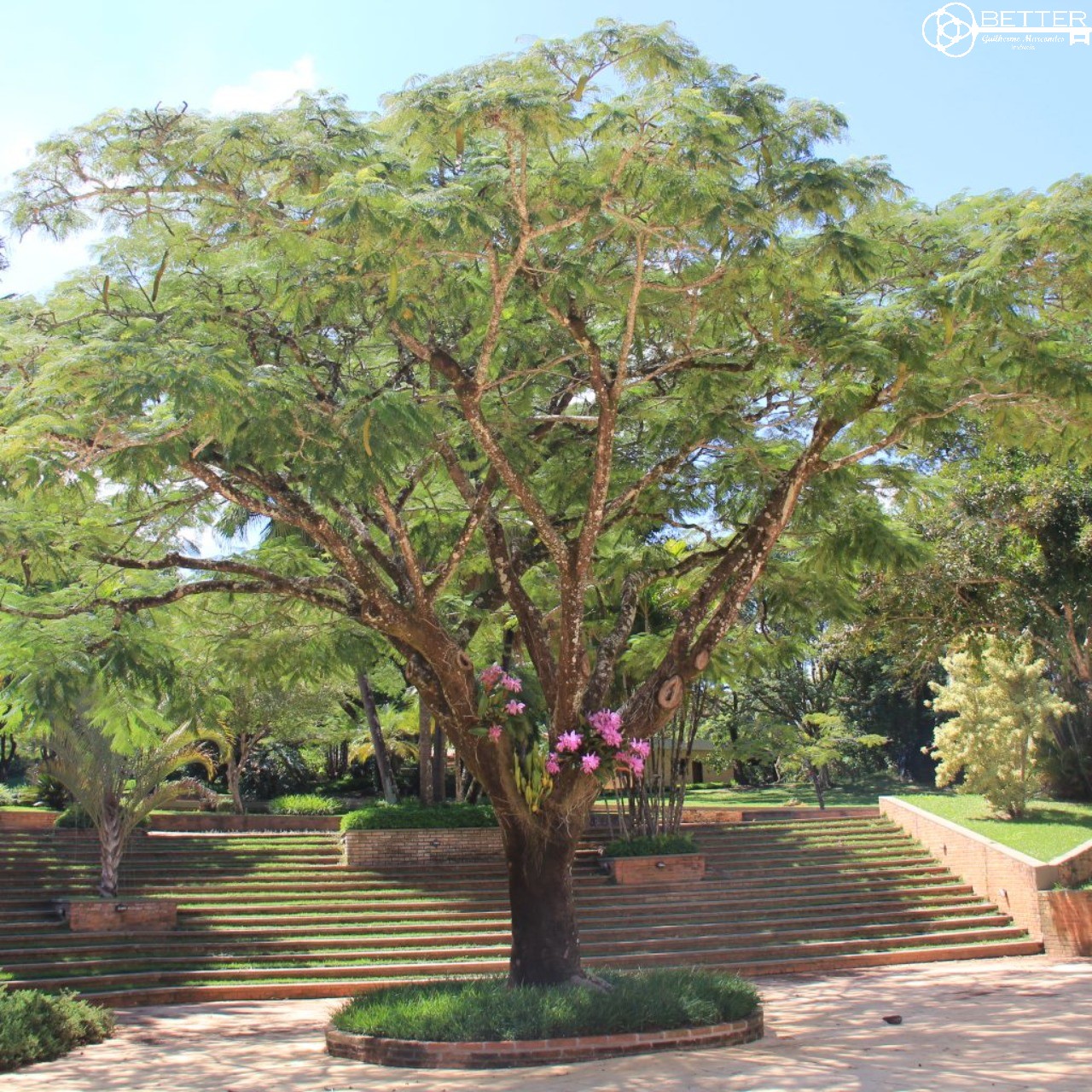 Terreno, 3080 m² - Foto 7