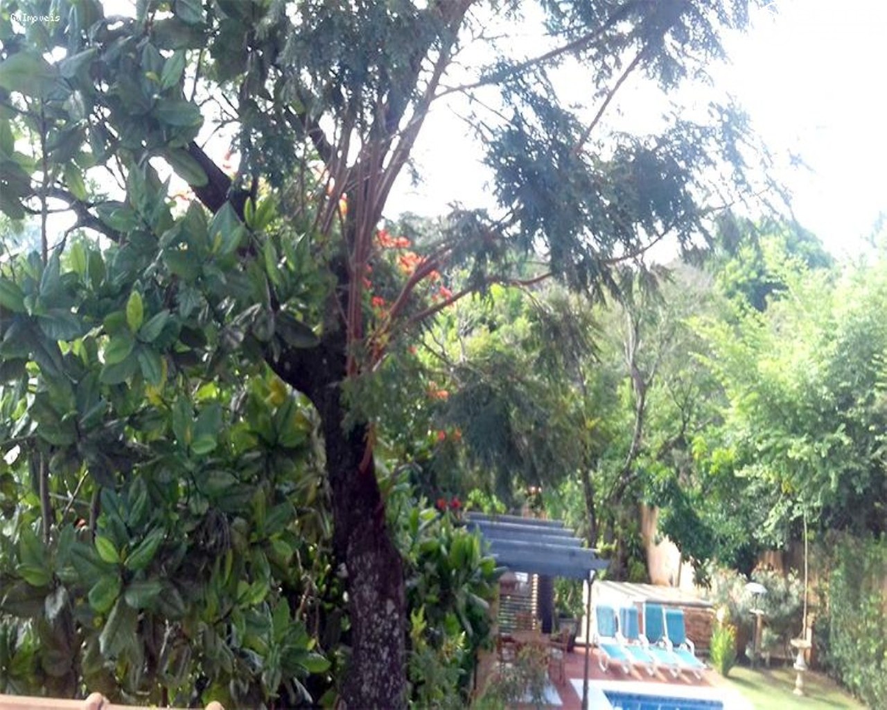 Casa, 3 quartos - Foto 17