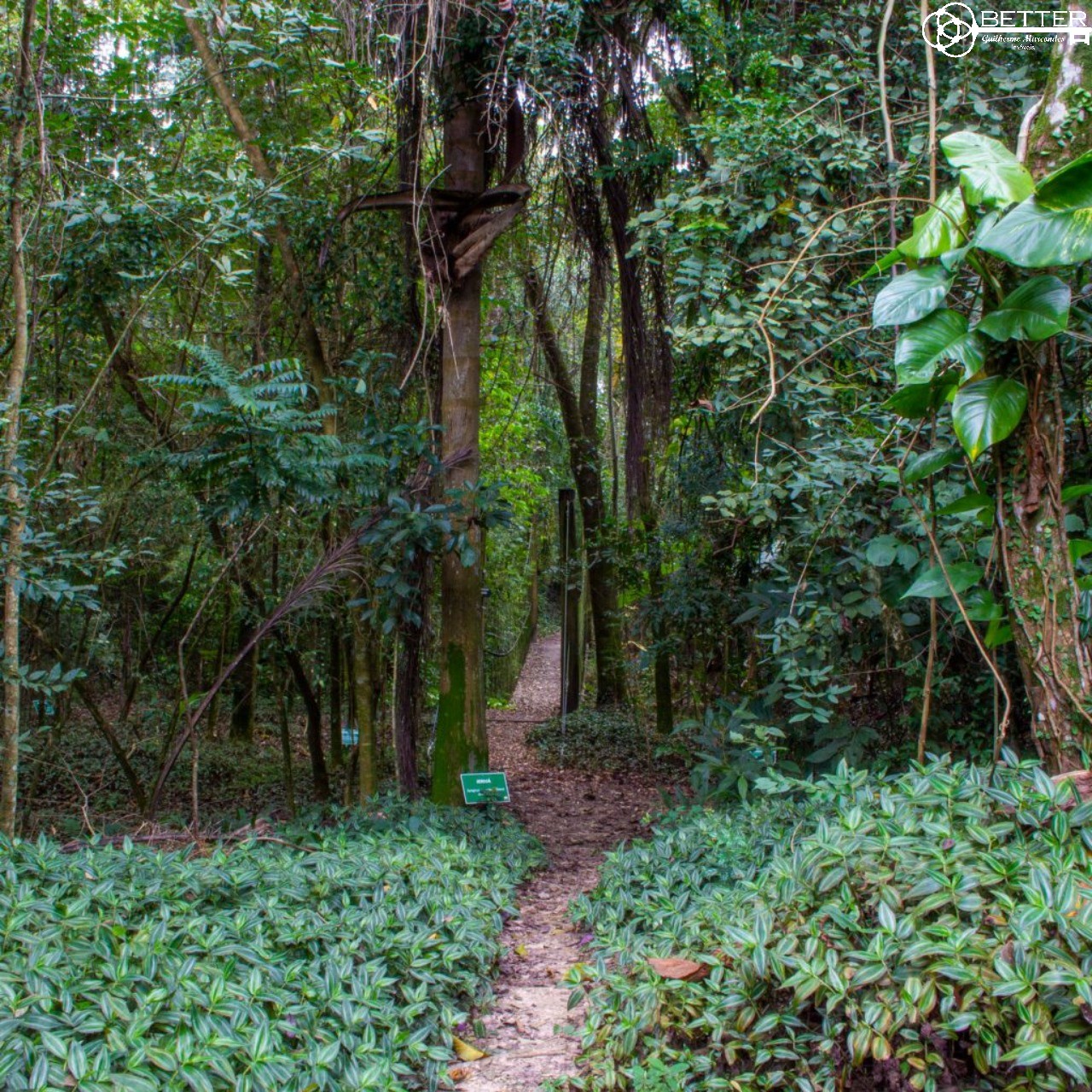 Terreno, 3080 m² - Foto 33