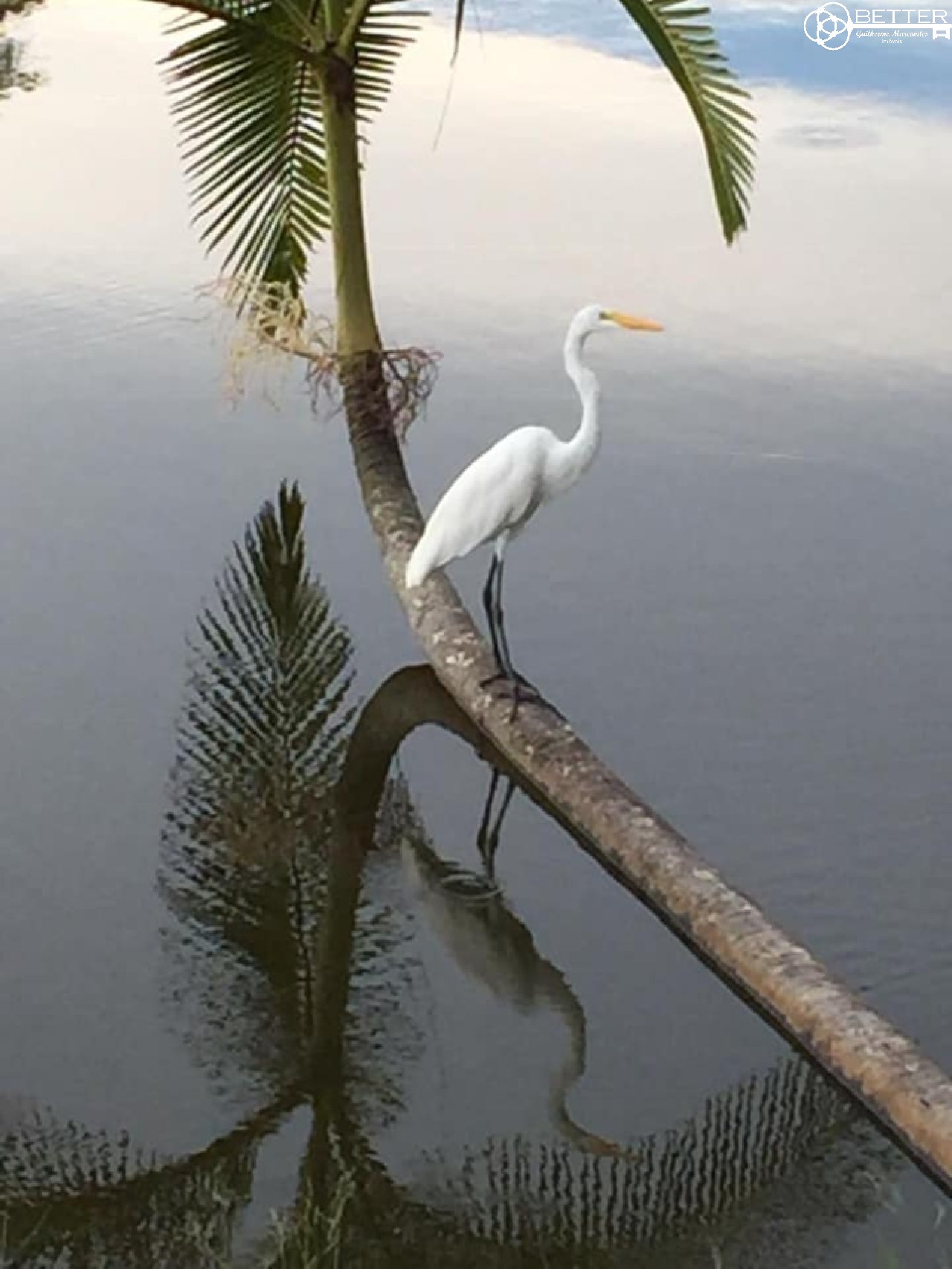 Terreno, 3080 m² - Foto 10