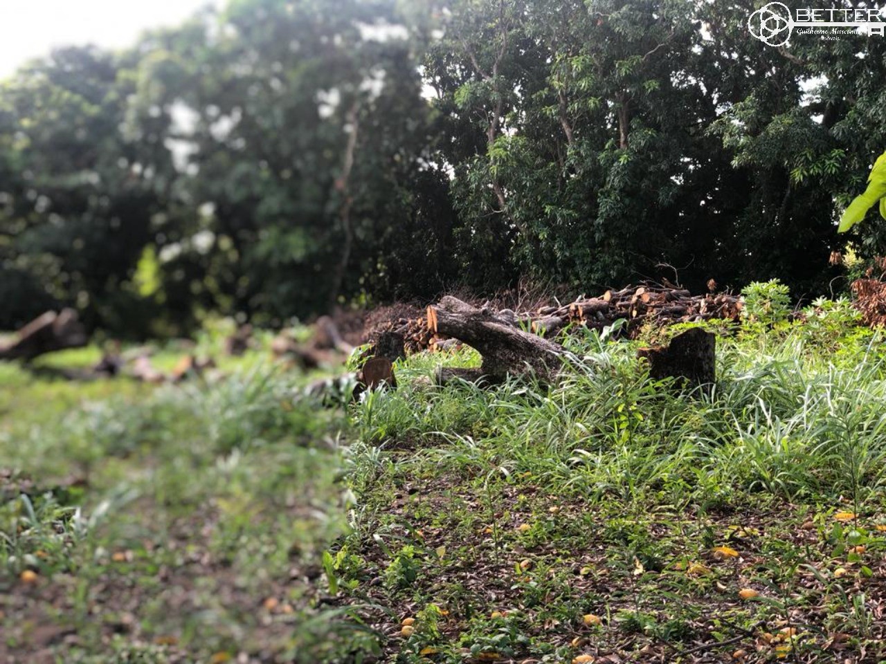 Terreno, 1450 m² - Foto 2