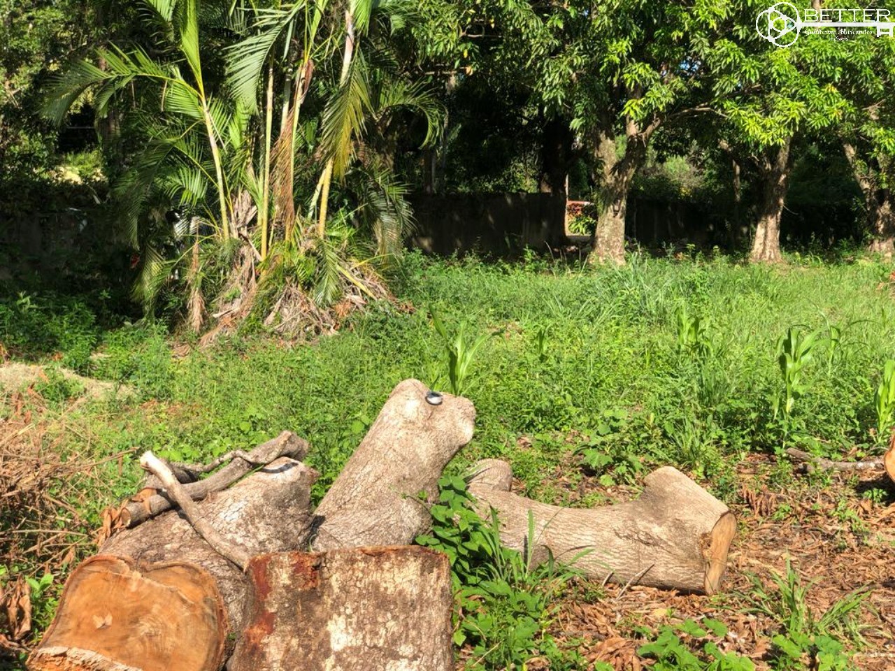 Terreno, 1450 m² - Foto 5