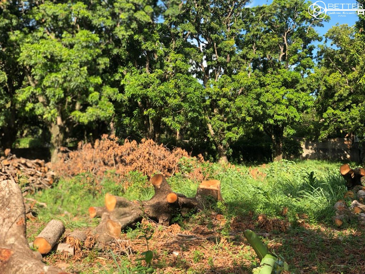 Terreno, 1450 m² - Foto 4