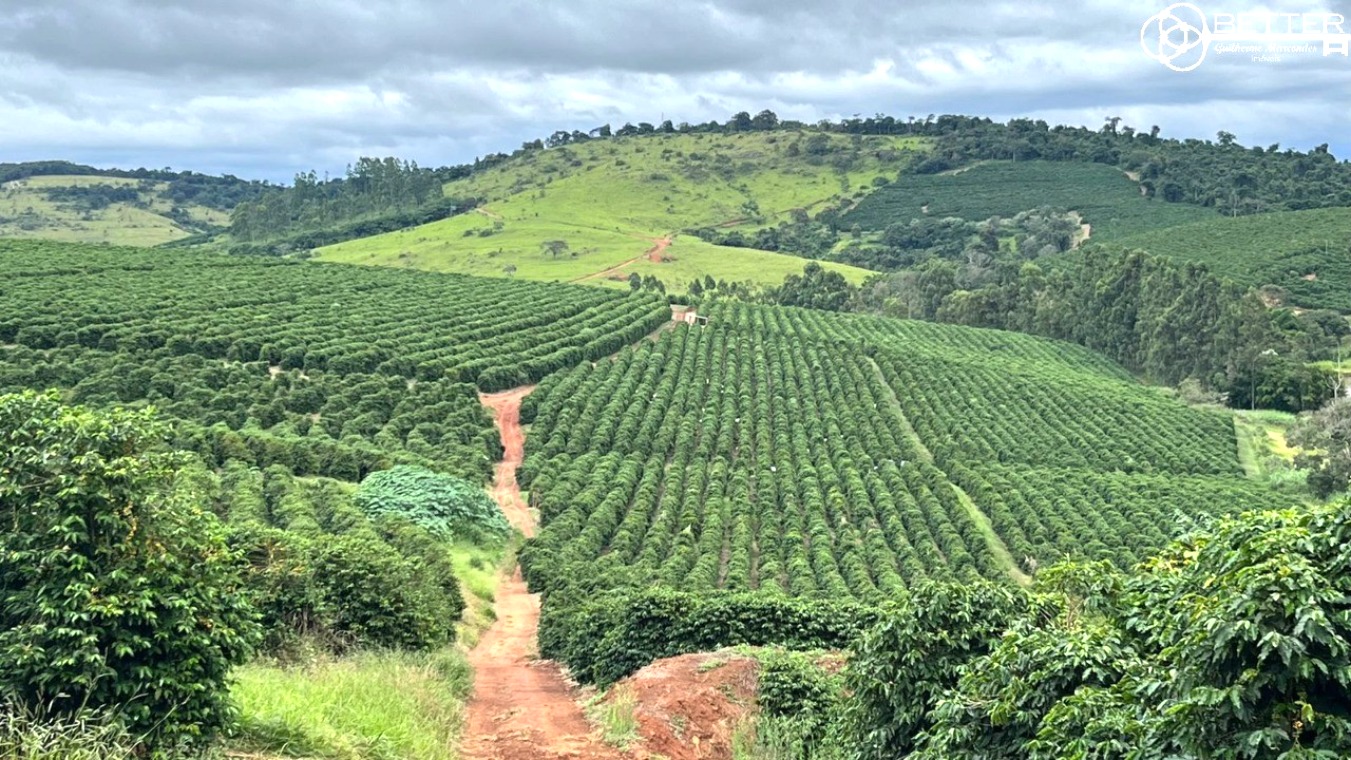 Fazenda-Sítio-Chácara, 750 m² - Foto 1