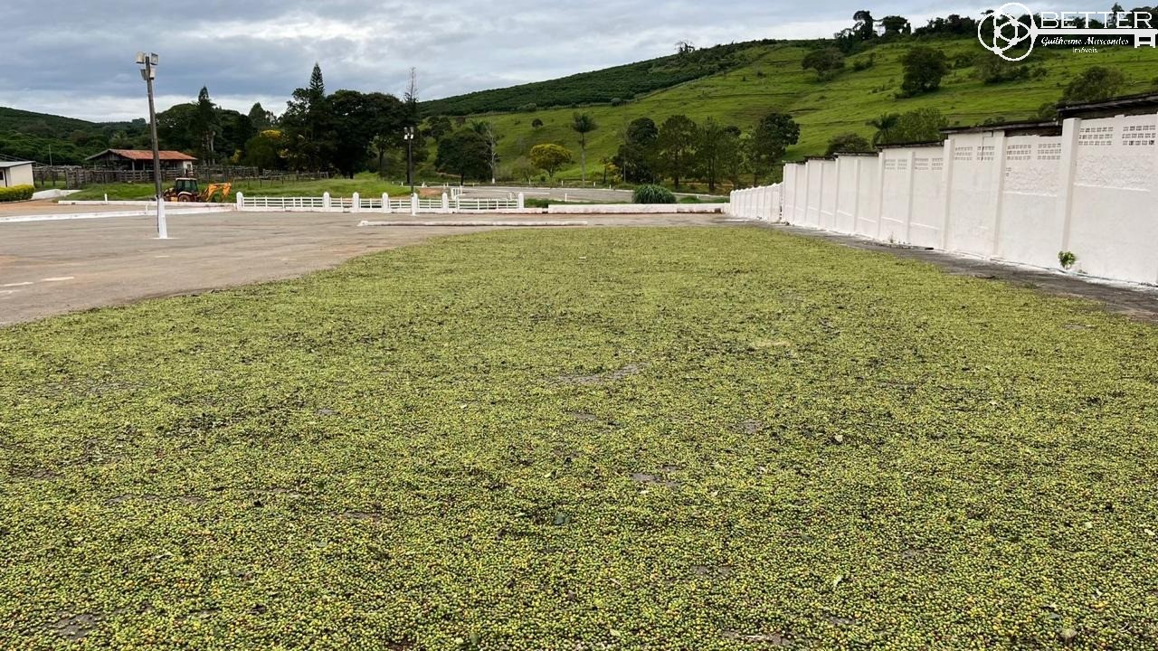 Fazenda-Sítio-Chácara, 750 m² - Foto 4