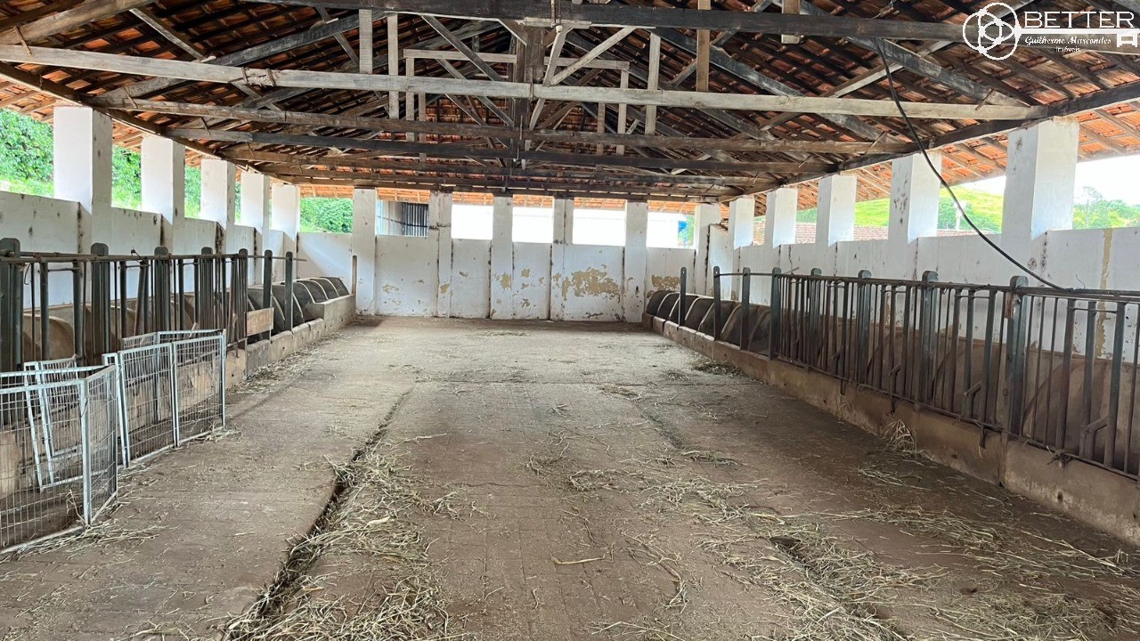 Fazenda-Sítio-Chácara, 750 m² - Foto 7