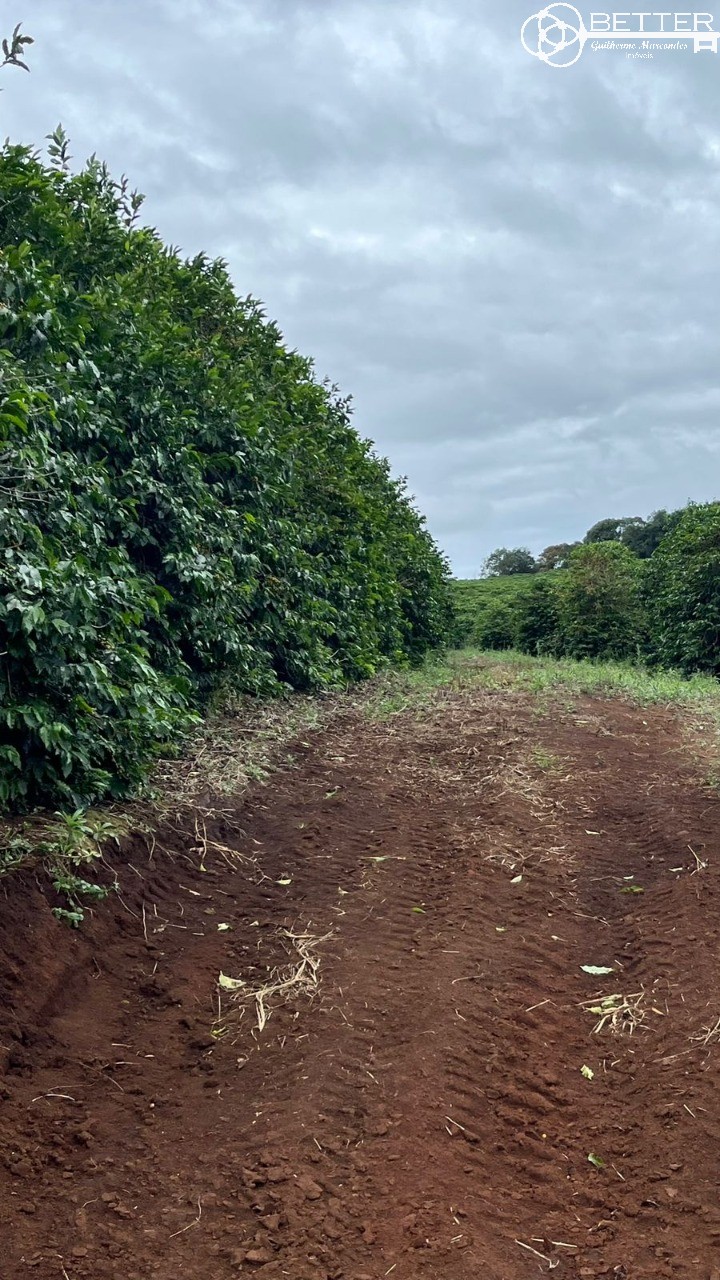 Fazenda-Sítio-Chácara, 750 m² - Foto 18