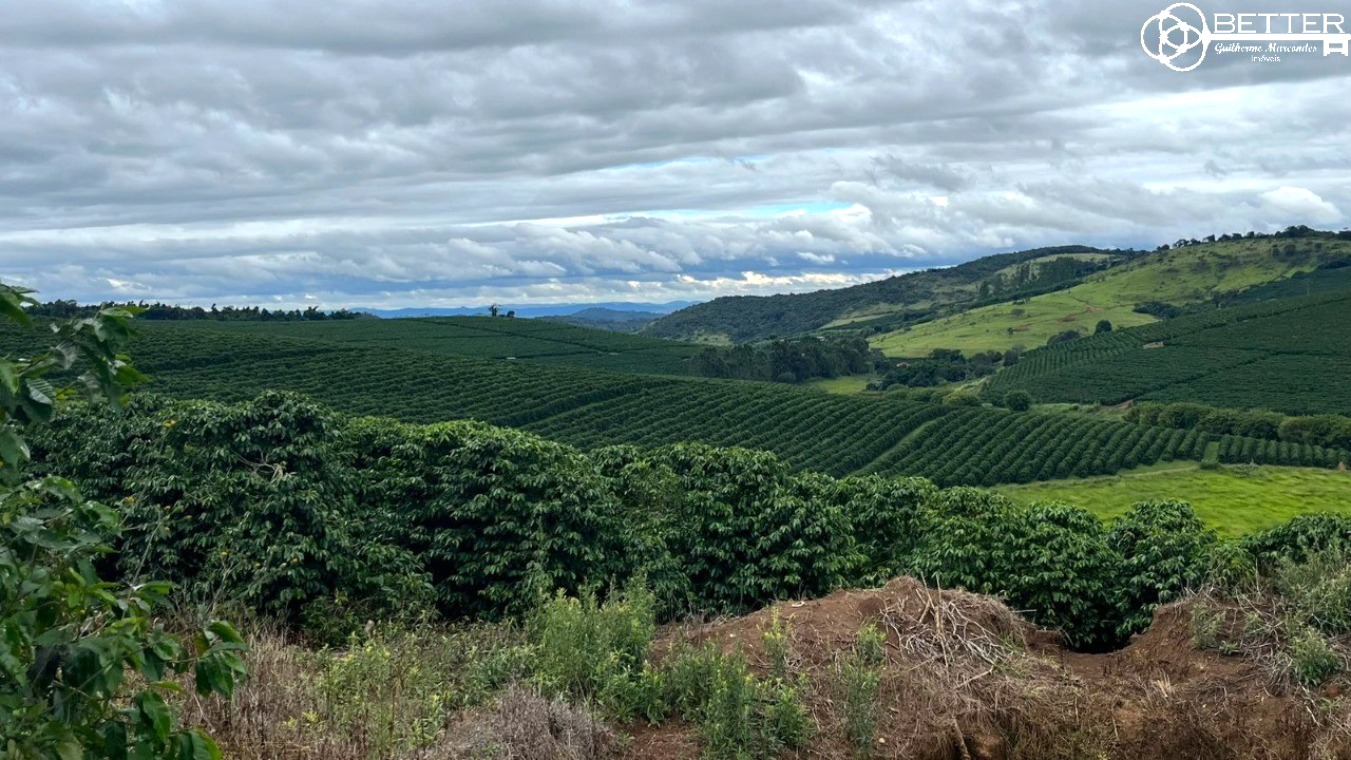 Fazenda-Sítio-Chácara, 750 m² - Foto 2