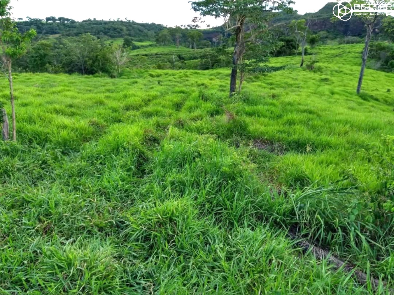 Fazenda-Sítio-Chácara, 2508 m² - Foto 5