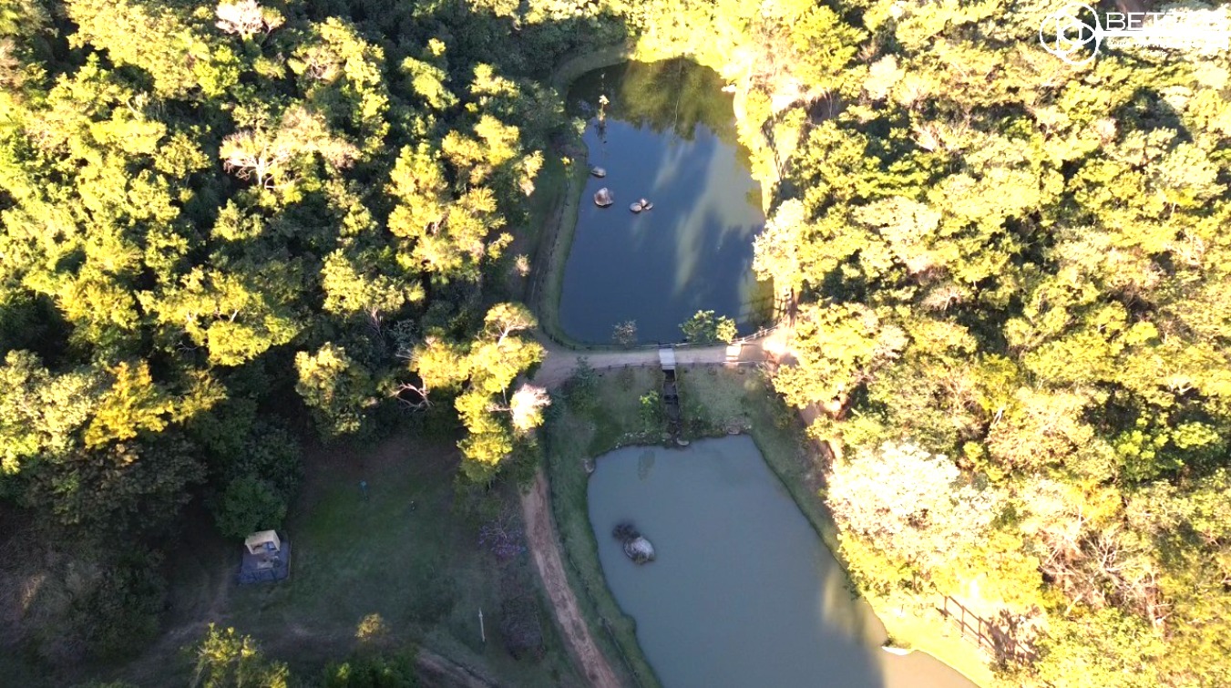 Casa, 3 quartos - Foto 89