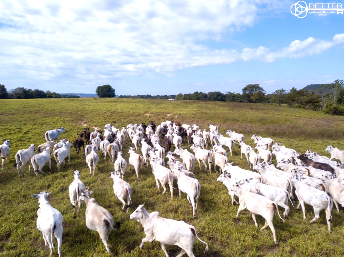 Fazenda-Sítio-Chácara, 2508 m² - Foto 1