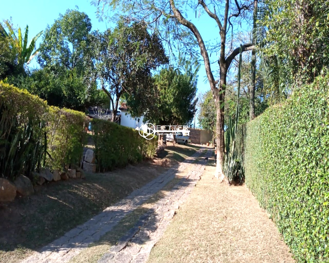 Chácara, 4 quartos - Foto 1