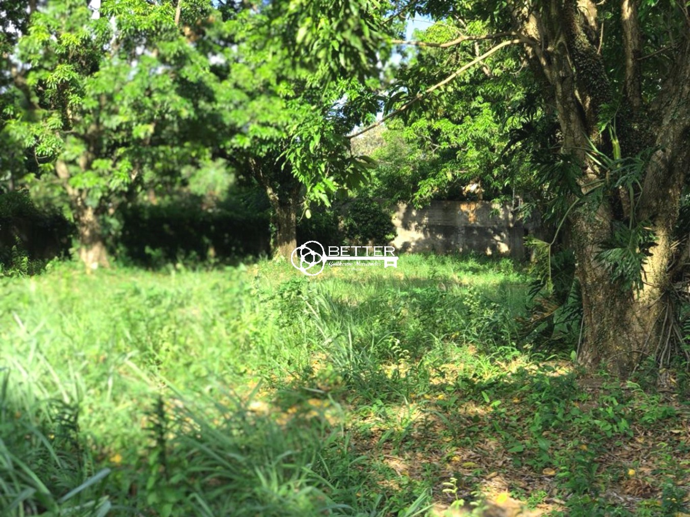 Terreno, 1650 m² - Foto 1