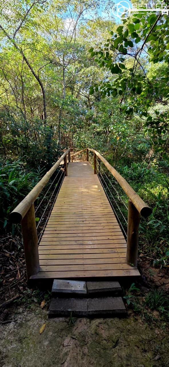 Casa, 4 quartos - Foto 12