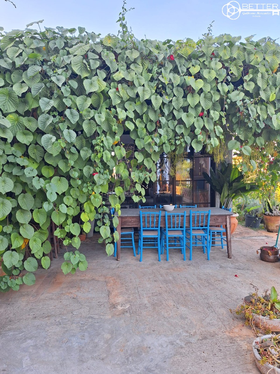 Casa, 4 quartos - Foto 37