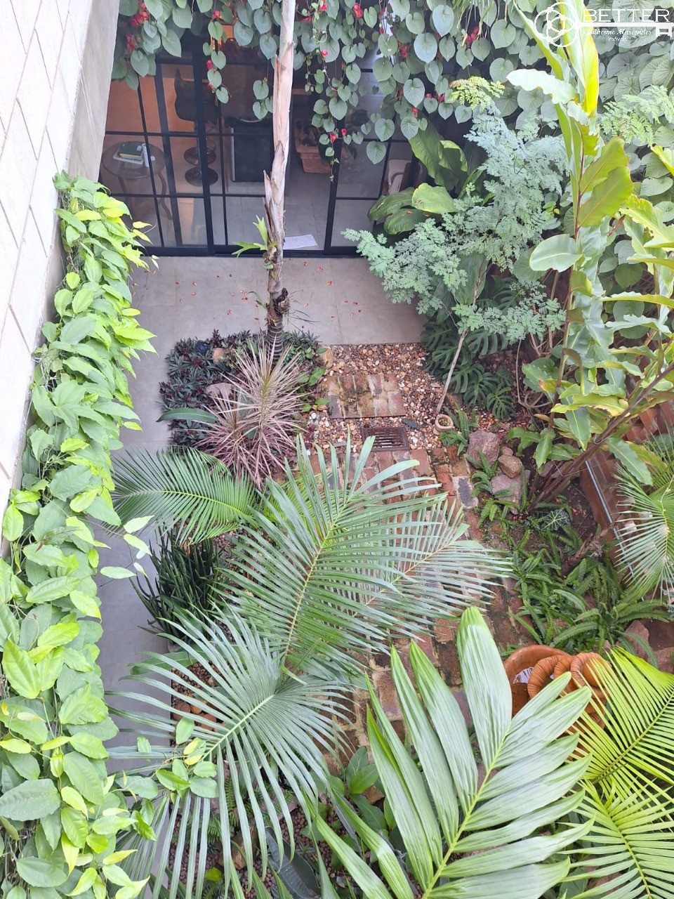 Casa, 4 quartos - Foto 33