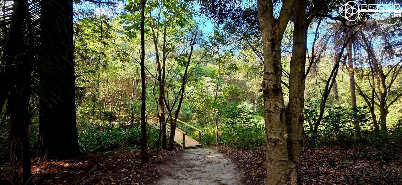 Casa, 4 quartos - Foto 15