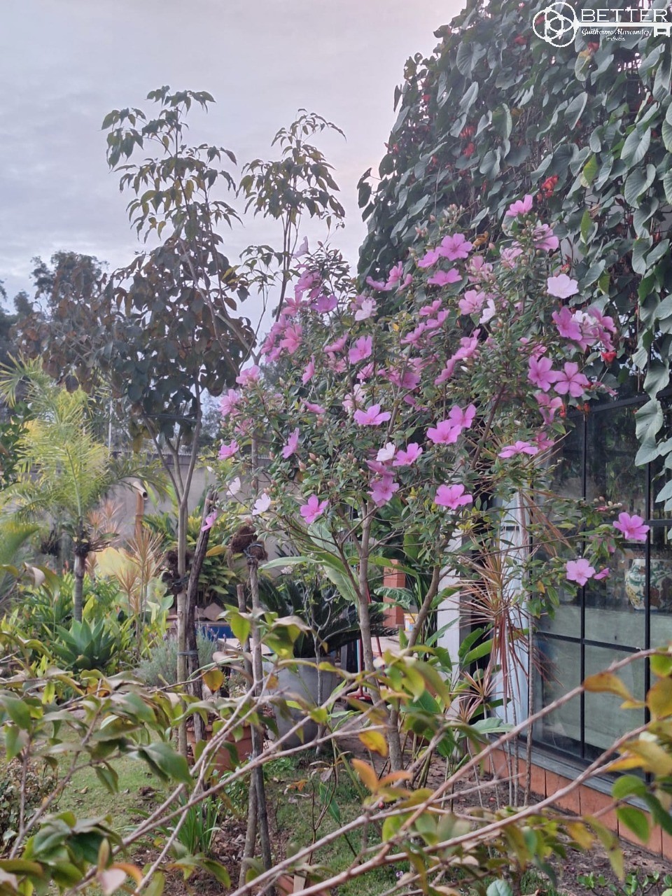 Casa, 4 quartos - Foto 26