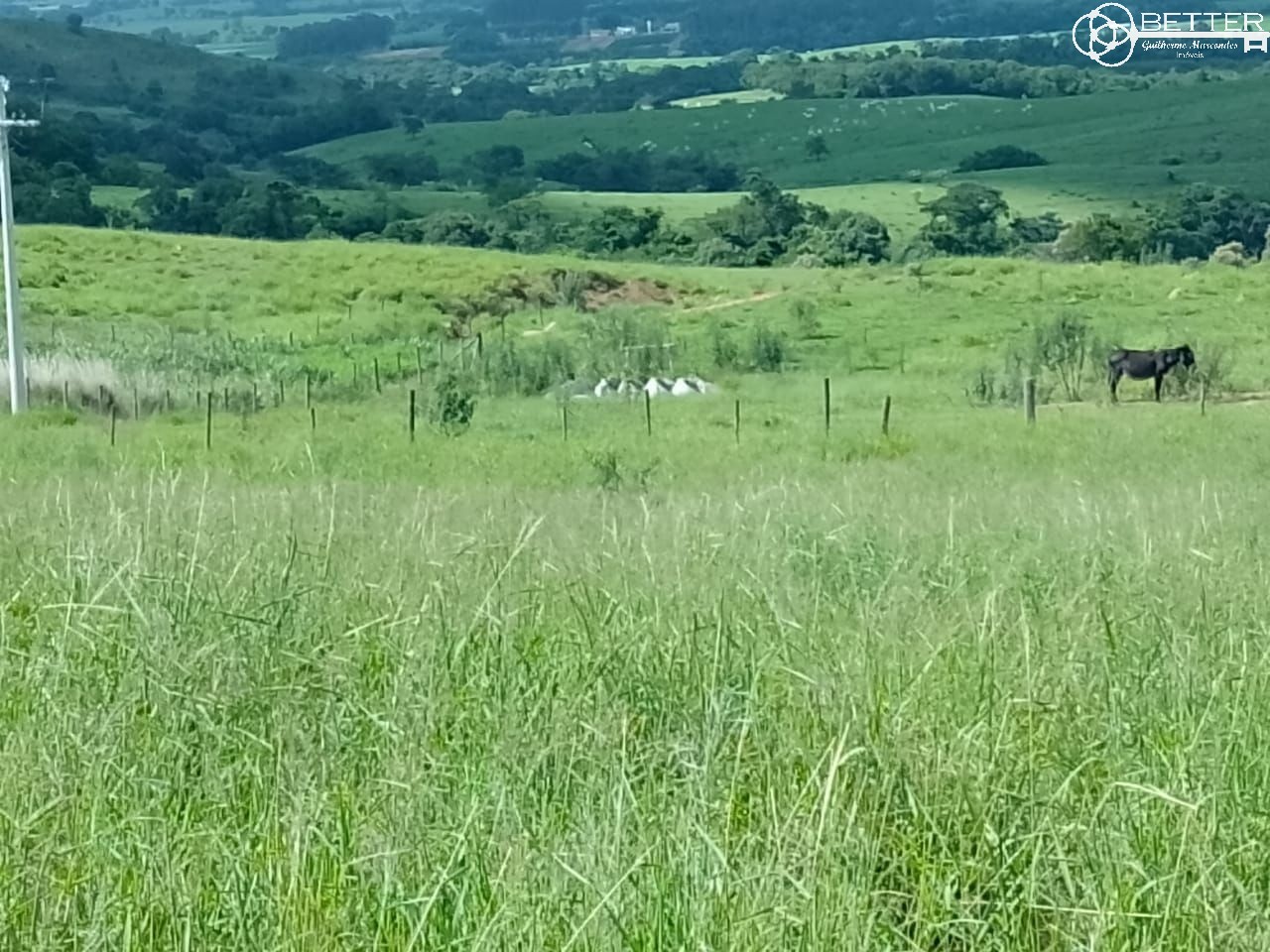 Fazenda, 4 m² - Foto 3