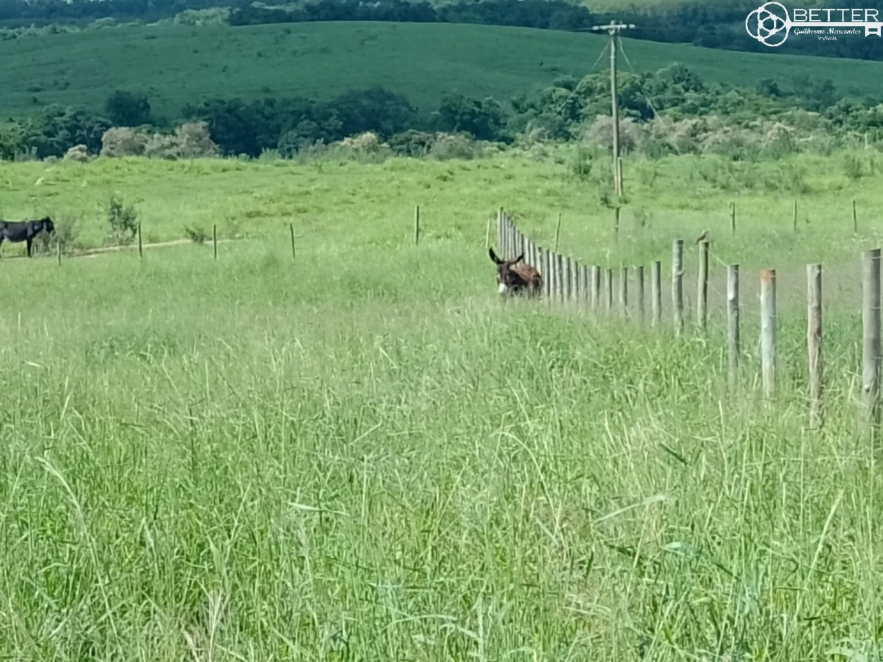 Fazenda, 4 m² - Foto 2