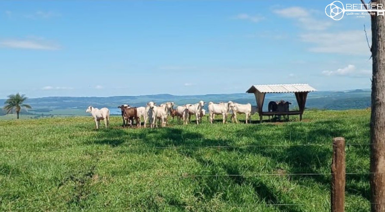 Fazenda, 249 m² - Foto 6