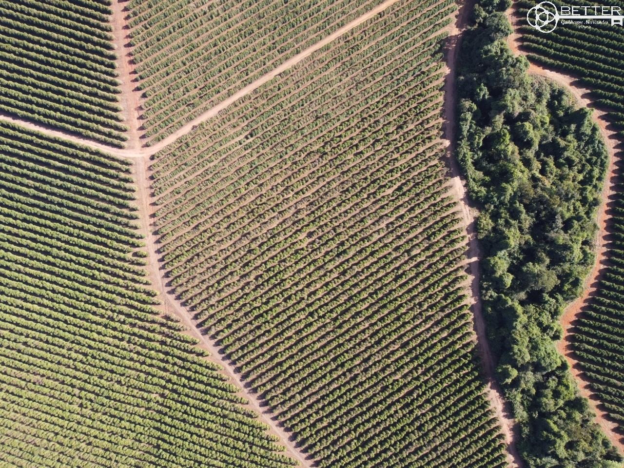 Fazenda, 47 m² - Foto 3