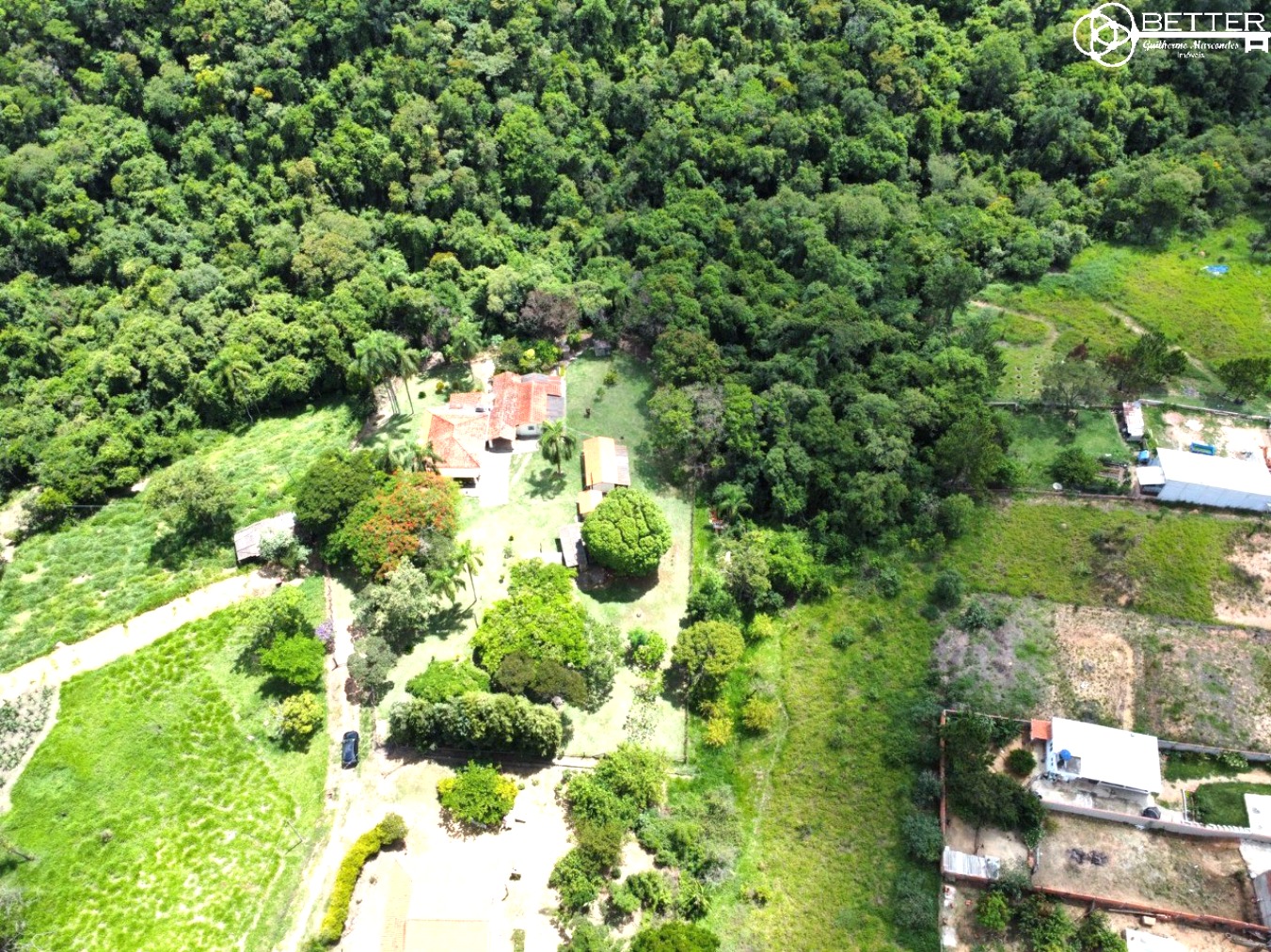 Terreno, 2 hectares - Foto 6