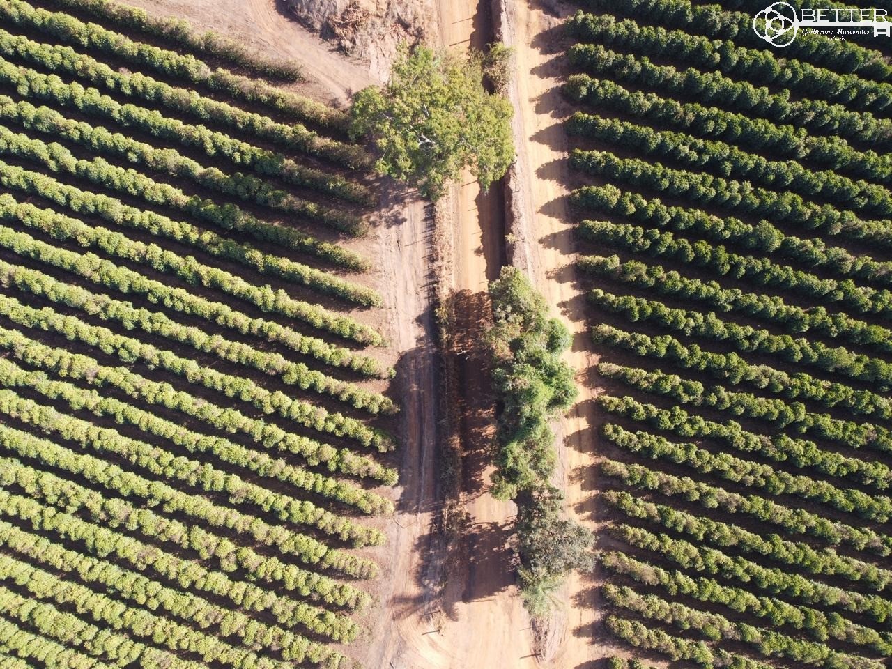 Fazenda, 47 m² - Foto 9