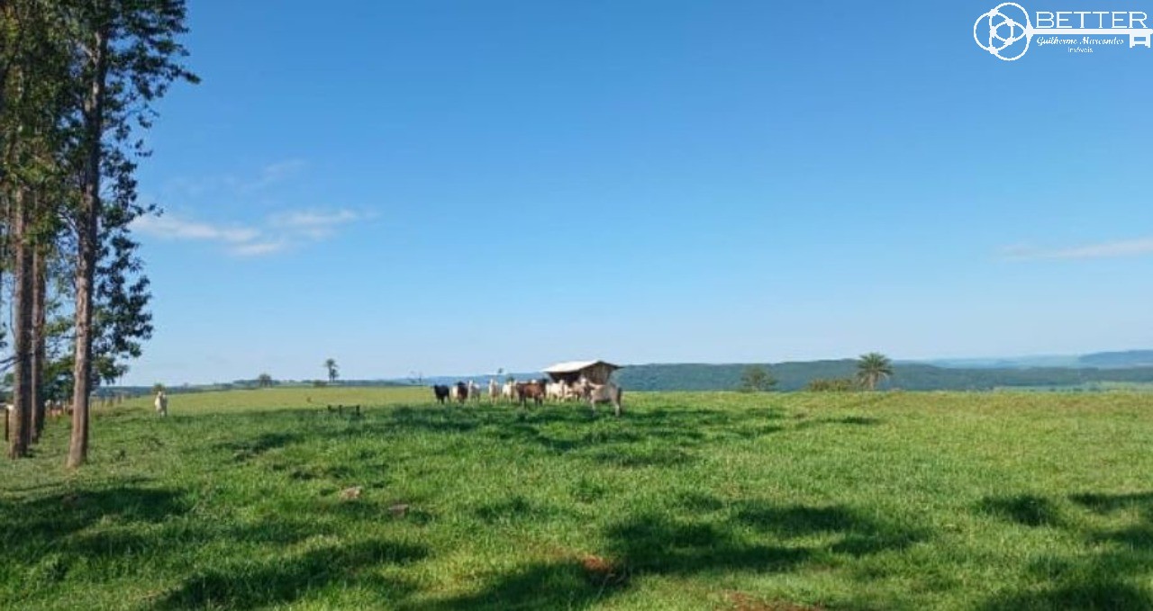 Fazenda, 249 m² - Foto 14