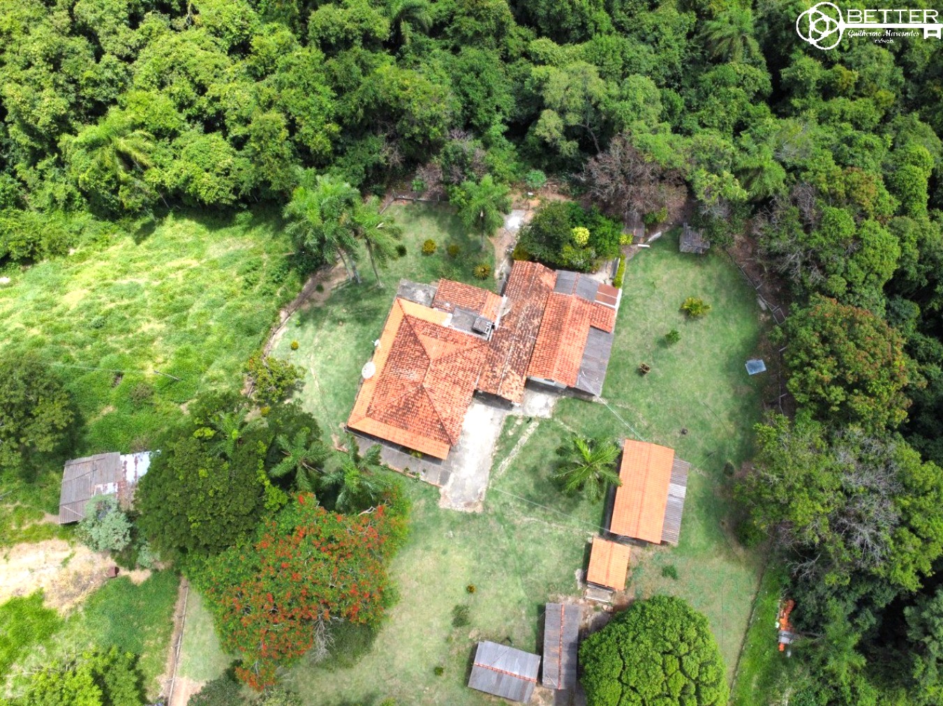 Terreno, 2 hectares - Foto 7